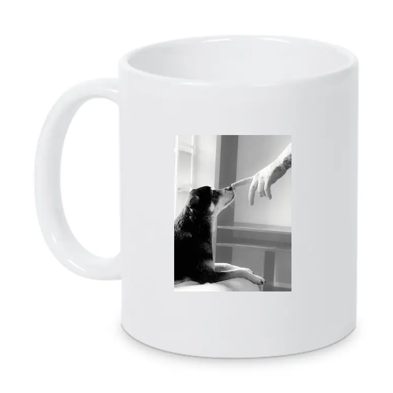Tasse Toby Käp Hund
